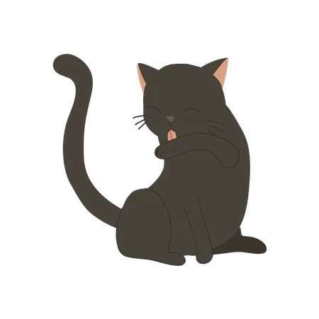 Cute kitten licking its arm for self-grooming and cleanliness  Illustration