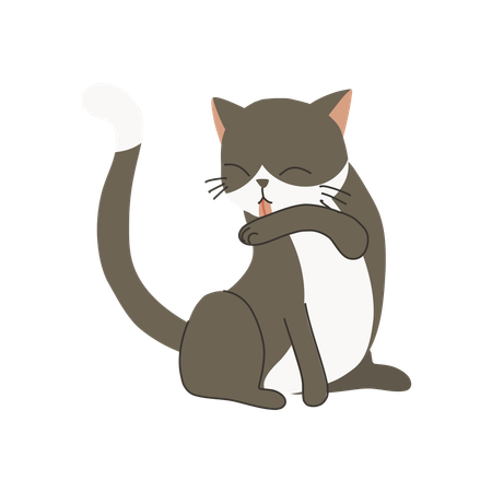 Cute kitten licking its arm for self-grooming  Illustration