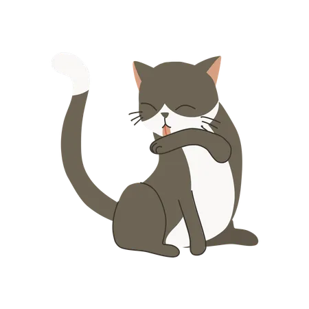 Cute kitten licking its arm for self-grooming  Illustration