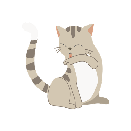 Cute kitten licking its arm  Illustration