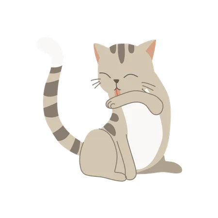 Cute kitten licking its arm  Illustration