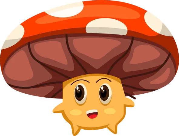Cute Mushroom  Illustration