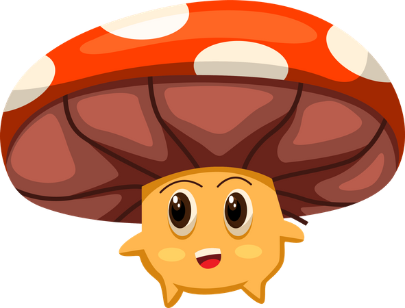 Cute Mushroom  Illustration