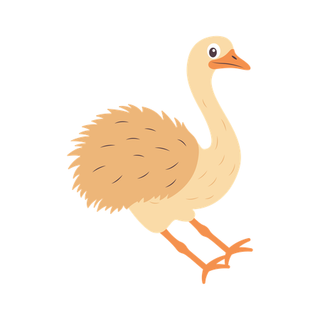 Cute Ostrich Braking to Stop  Illustration