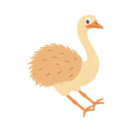 Cute Ostrich Braking to Stop  Illustration