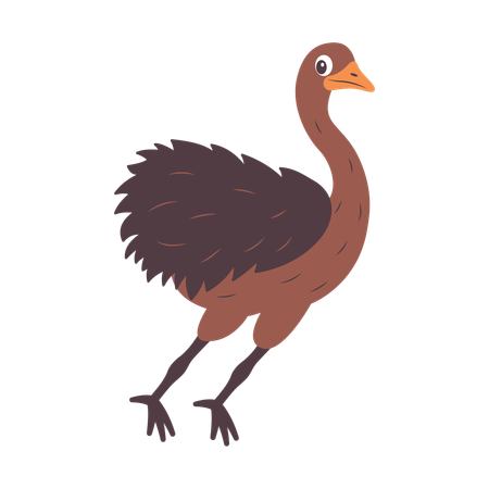 Cute Ostrich Braking to Stop  Illustration