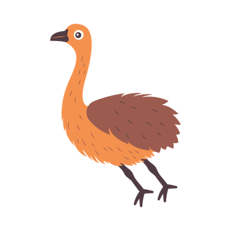 Cute Ostrich Braking to Stop  Illustration