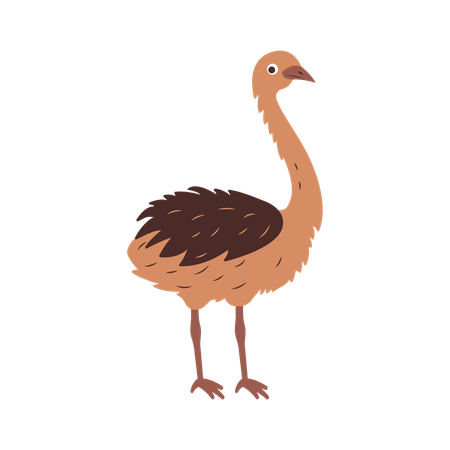 Cute Ostrich  Illustration