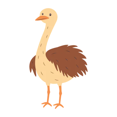 Cute Ostrich  Illustration