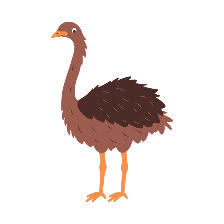 Cute Ostrich  Illustration