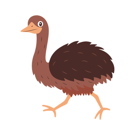 Cute Ostrich Running Fast  Illustration