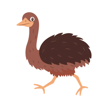 Cute Ostrich Running Fast  Illustration