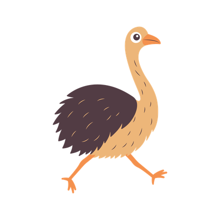 Cute Ostrich Running Fast  Illustration