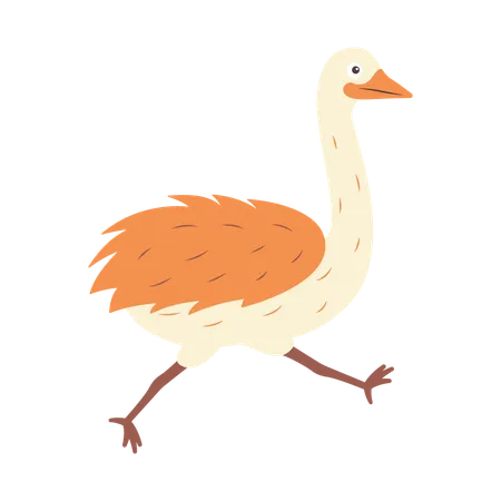 Cute Ostrich Running  Illustration