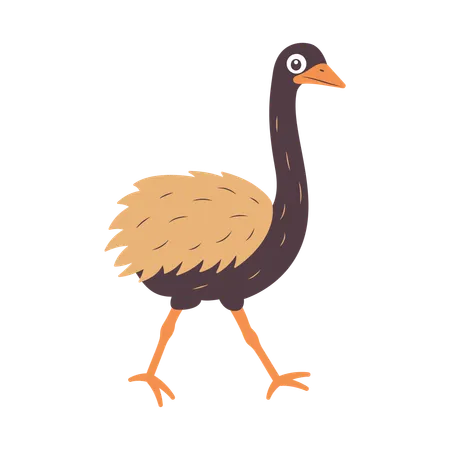 Cute Ostrich Walking  Illustration