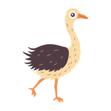 Cute Ostrich Walking  Illustration