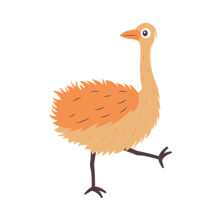 Cute Ostrich Walking  Illustration