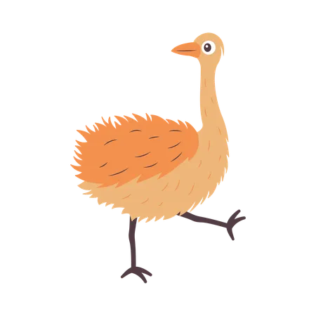 Cute Ostrich Walking  Illustration