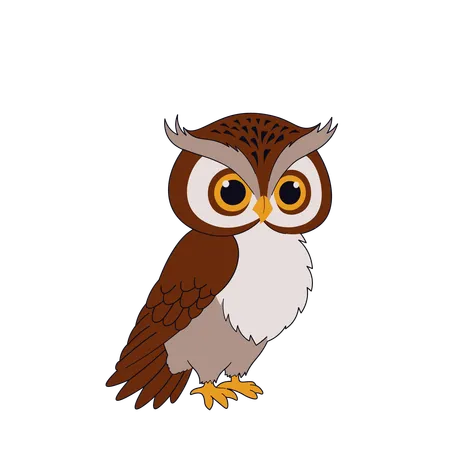 Cute Owl  Illustration