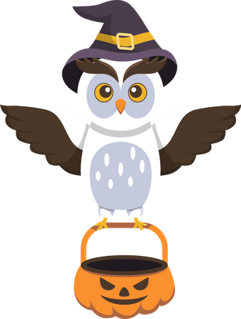 Cute Owl with Pumpkin  Illustration