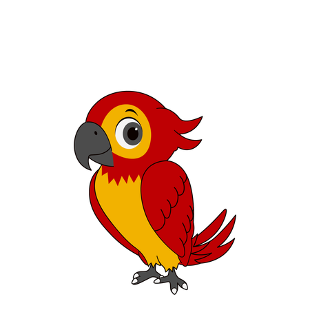 Cute Parrot  Illustration
