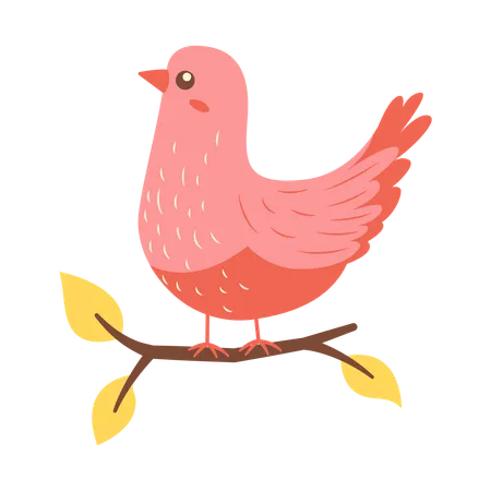 Cute Pink Dove on Tree Branch  Illustration