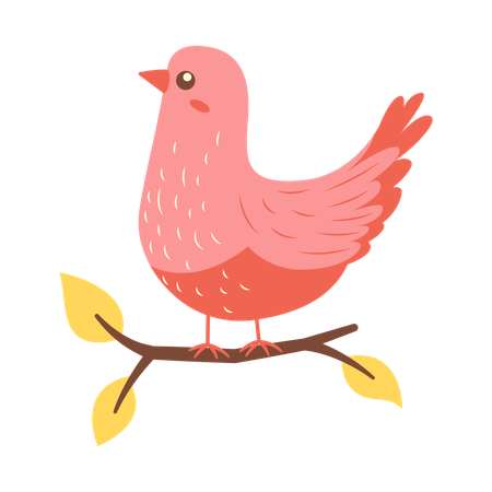Cute Pink Dove on Tree Branch  Illustration
