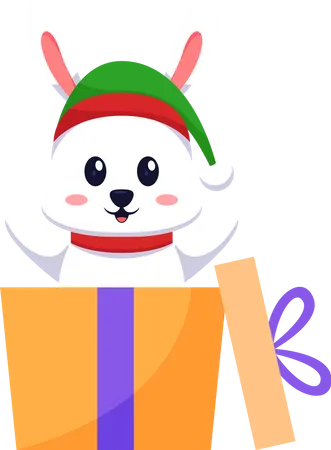 Cute Rabbit in Gift Box  Illustration