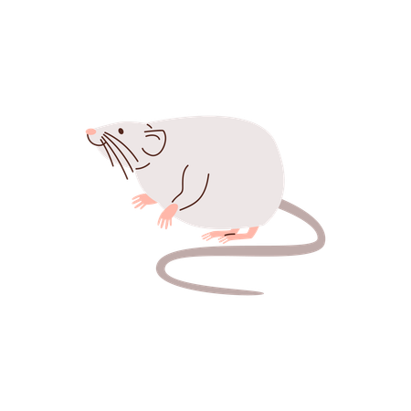 Cute rat long tail  Illustration