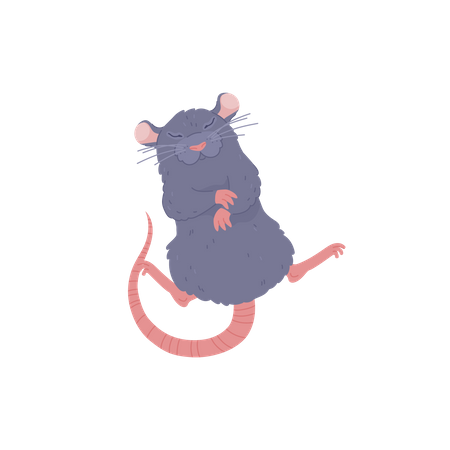 Cute rat sleeping  Illustration