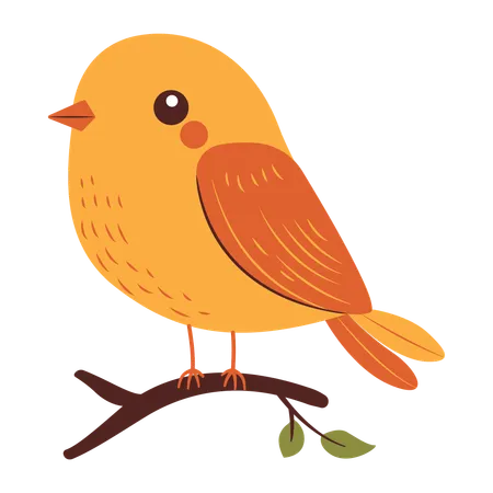 Cute Robin on Tree Branch  Illustration