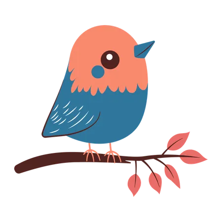 Cute Robin on Tree Branch  Illustration