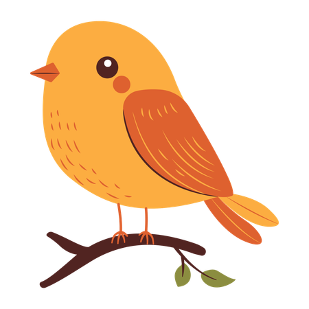 Cute Robin on Tree Branch  Illustration