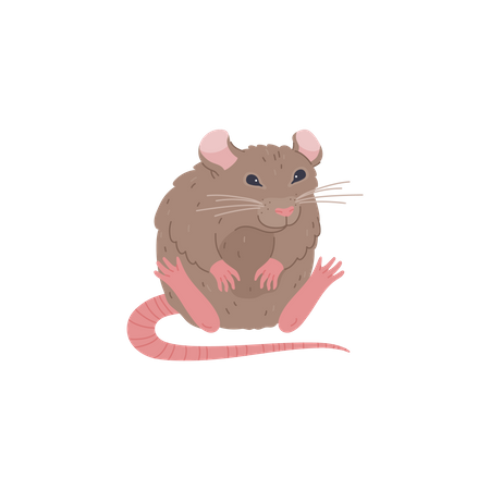 Cute sitting rat  Illustration