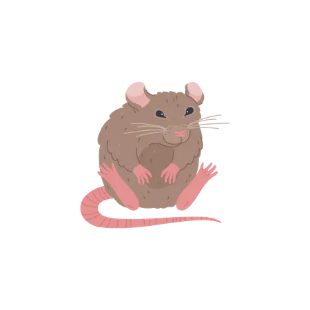 Cute Sitting Rat Character Cartoon Flat Cartoon Vector Illustration Isolated On White Background Rat Animal Character With Funny Friendly Expression 일러스트레이션