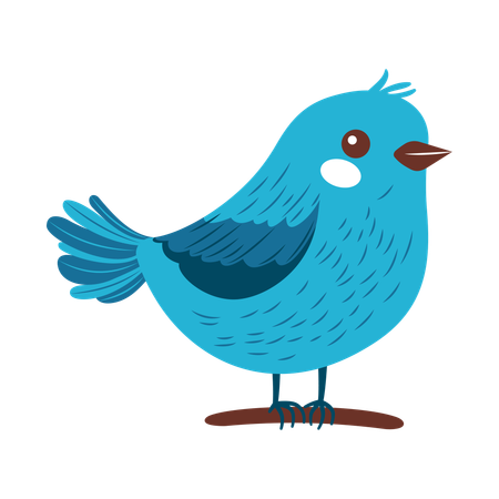 Cute Sparrow on Tree Branch  Illustration