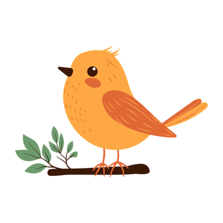 Cute Sparrow  on Tree Branch  Illustration