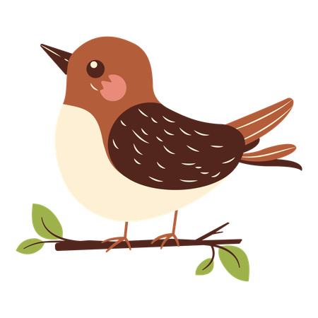 Cute Sparrow on Tree Branch  Illustration