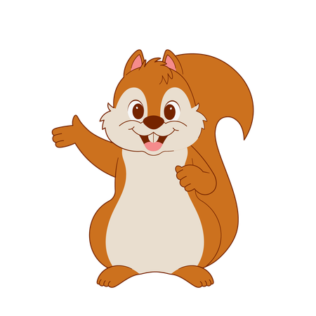 Cute Squirrel  Illustration