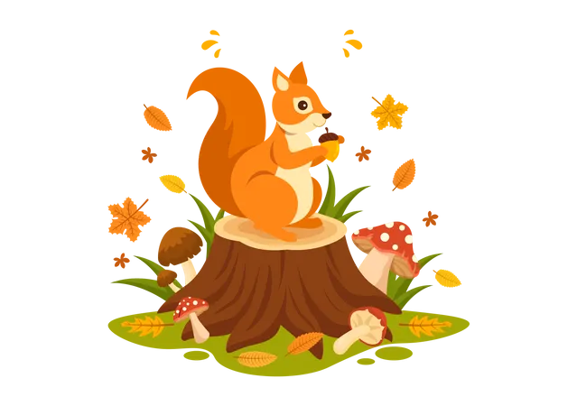 Cute squirrel eating nut  Illustration
