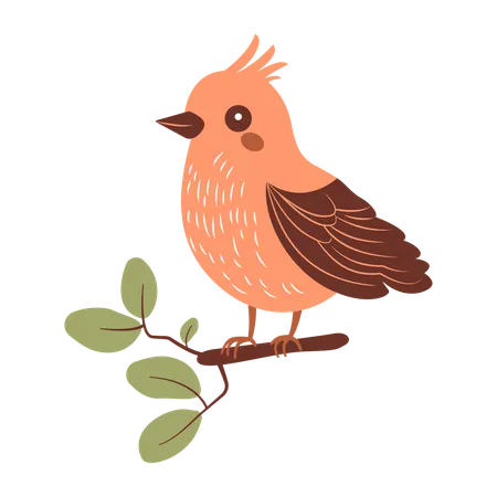 Cute Starling Bird on Tree Branch  Illustration