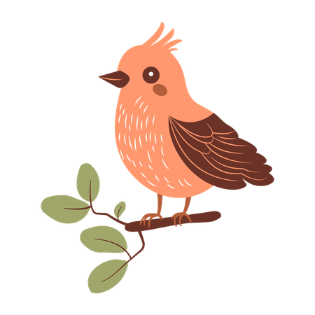 Cute Starling Bird on Tree Branch  Illustration