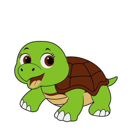 Cute Turtle  Illustration