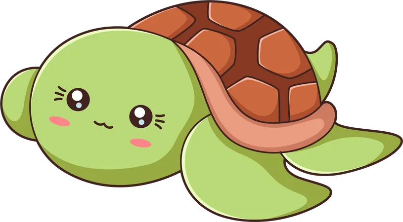 Cute Turtle  Illustration
