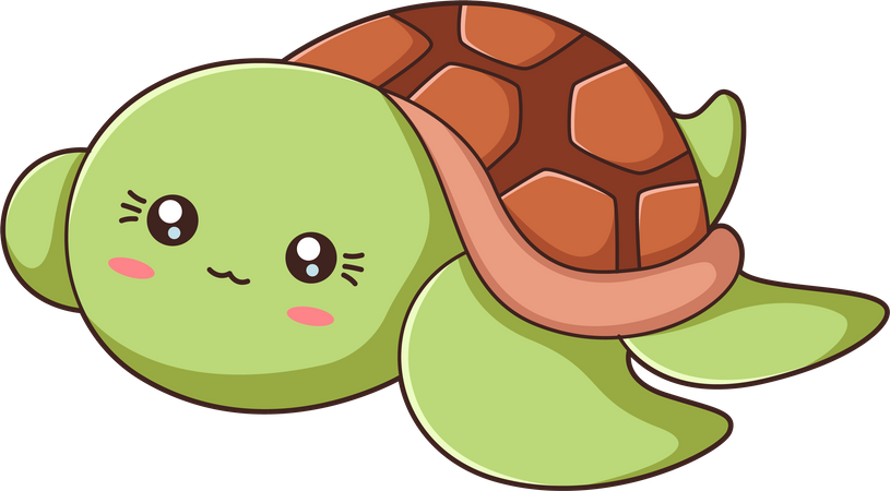 Cute Turtle  Illustration