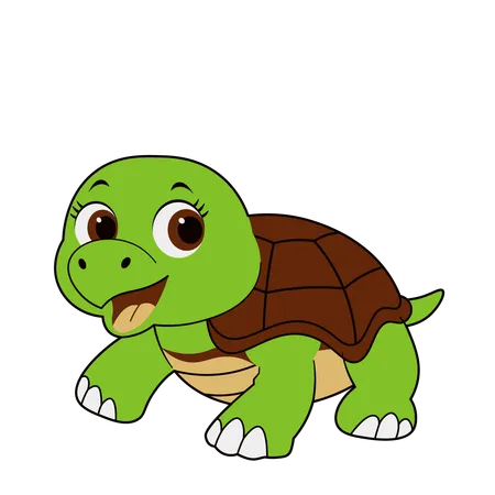 Cute Turtle  Illustration