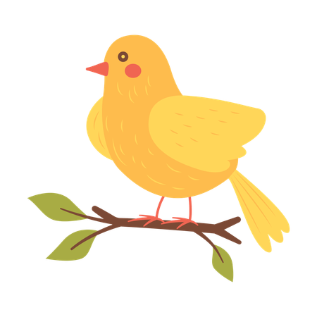 Cute Yellow Dove on Tree Branch  Illustration