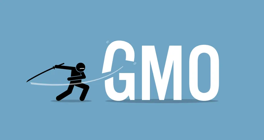 Cutting GMO food for healthy diet. Vector artwork concept of healthy lifestyle, eating organic, and stop eating genetically modified organism food.  Illustration