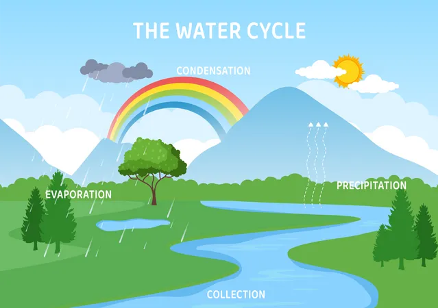 Cycle de l'eau en région montagneuse  Illustration