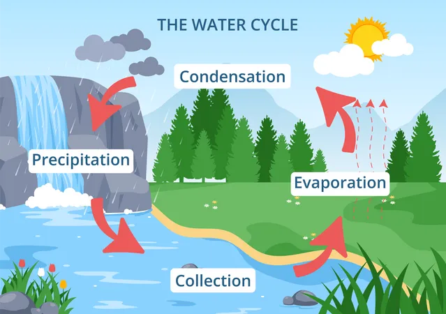 Cycle scientifique de l'eau  Illustration